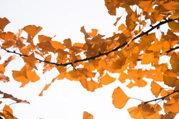 IMG_5606-1.jpg