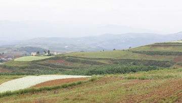 XQ1T7820