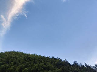1000026725