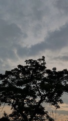 1000045686