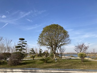DC29E9F7-0D26-4338-B4A2-D82513804764/L0/001