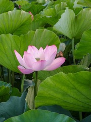 200104
