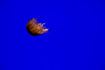 20120603-IMG_0076.jpg