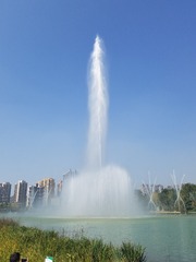 66543