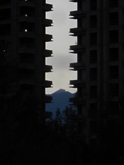 131807