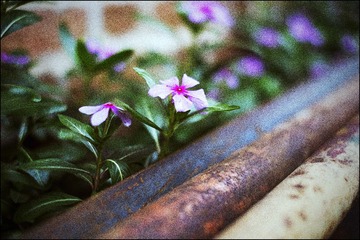 DSCF3105.jpg