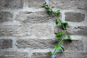 DSCF3092.jpg