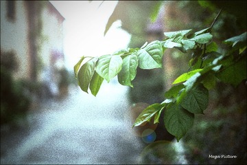 DSCF3095.jpg