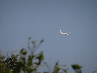 9B24AA83-2030-4532-A3E9-A1E84CC0AF72/L0/001