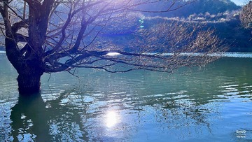 D570DB0F-6A6B-4F62-B2C8-33BA248E0F9C/L0/001