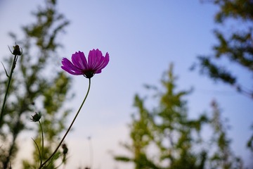 0EFE4592-1567-4C00-889C-BB4562AEAB84/L0/001
