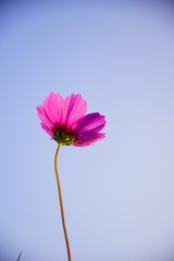 EA3C6F4F-EC38-404A-9354-D38E4113D564/L0/001