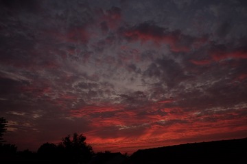 37775D83-5852-4DFE-A0B6-EC42151C4DCE/L0/001