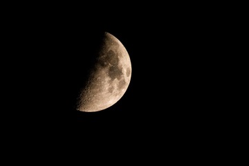 4CA71674-83E8-47E7-8160-4CB1EF117013/L0/001
