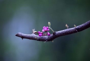 8C85CA2B-2012-48F2-A925-CC69566F8DC9/L0/001