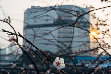 DSC014742_