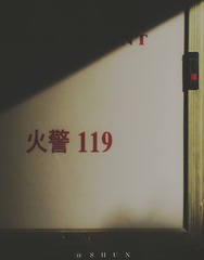 67887