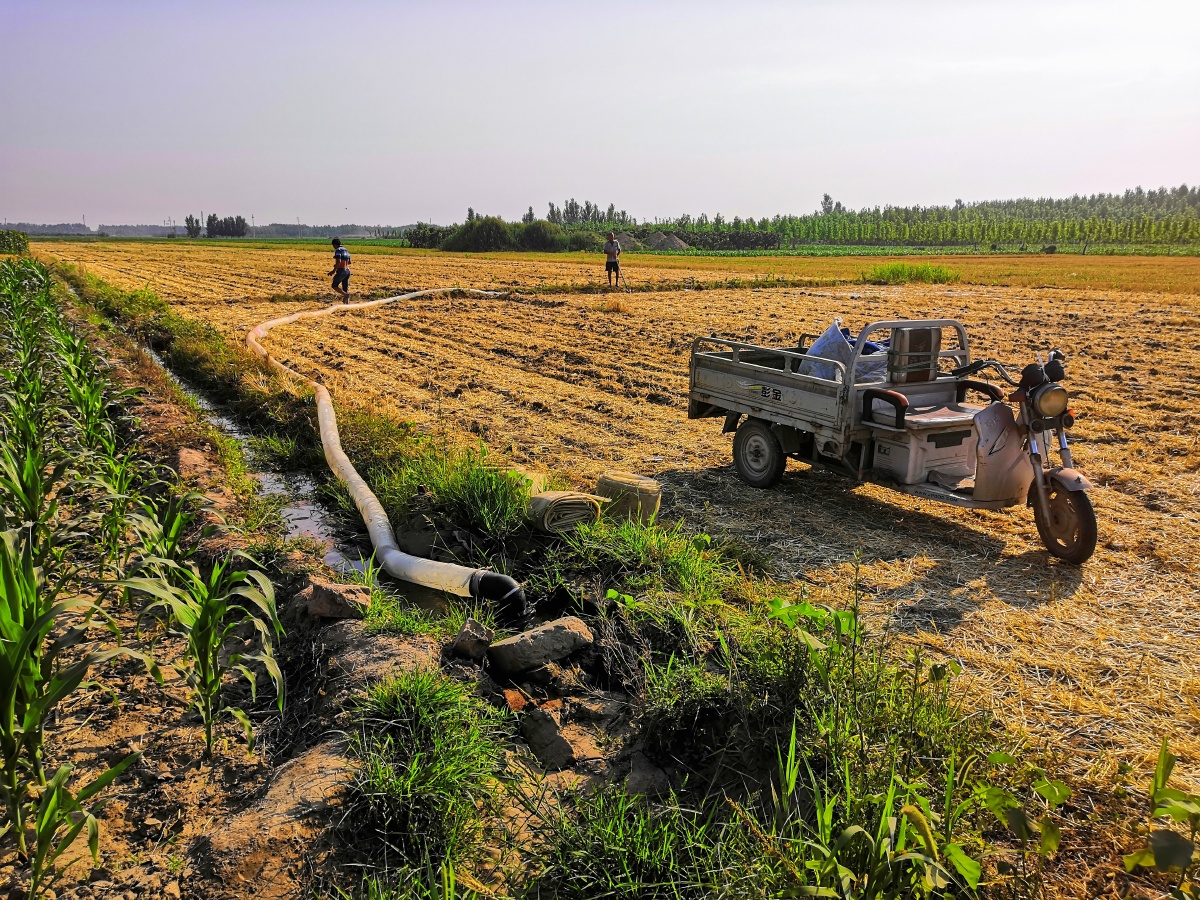 夏季农田传统的灌溉方式