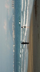 42313EBA-3038-44FB-A312-5515BDCFF173/L0/001