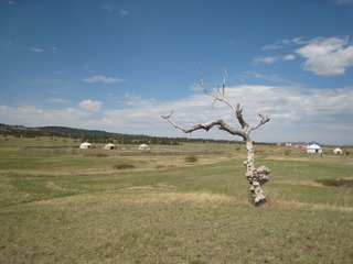 IMG_3490.JPG