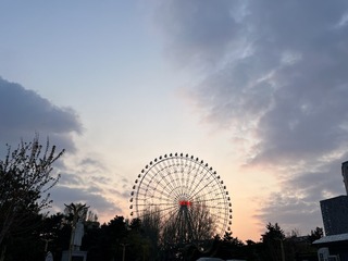 E2EACE3B-A760-439F-BFF0-04E2399BDC90/L0/001