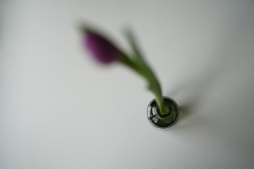F7BB32D5-F781-42AE-8D9D-A8D72B983AF5/L0/001