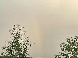 10F96B0E-7382-40ED-87F9-251E7ECDE934/L0/001