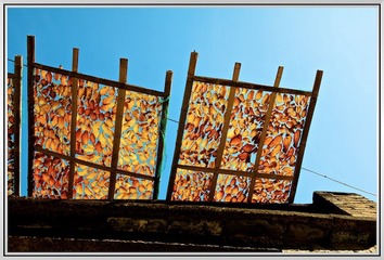 ZMW_3489