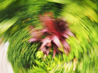67A615A9-741E-4B15-824A-51F4AAF5652A/L0/001