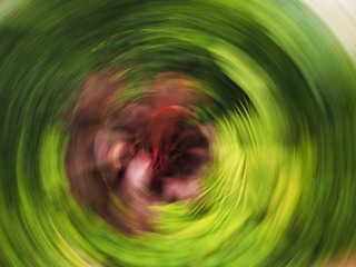 1226B9AC-3515-47C2-BD21-E74AA404534A/L0/001