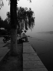 照片 399.jpg