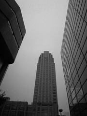 商业结构1.jpg