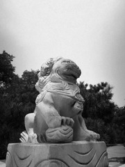 石狮子2.jpg
