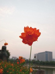 s2.jpg