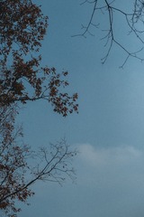 28E3F476-4354-46C7-A2AC-2952C780A901/L0/001