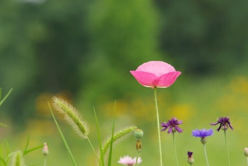 D68A72EB-D5B7-489F-863F-7840D4FD5EE5/L0/001