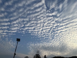 7E9D73AF-C22D-4E55-84B5-0E893B60307E/L0/001