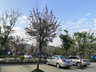 170B0F48-4713-40D0-8E2C-C00DDE664928/L0/001