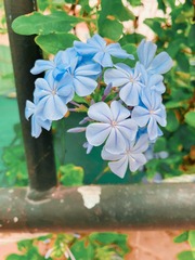 41D67E29-79E9-4F4E-8B24-482F6D0F0ABE/L0/001
