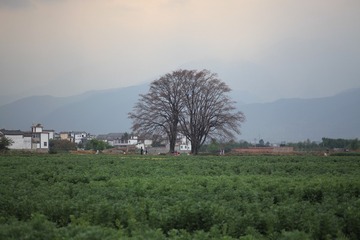 84F7BF22-A854-421A-AD11-D78FBE85CA3A/L0/001