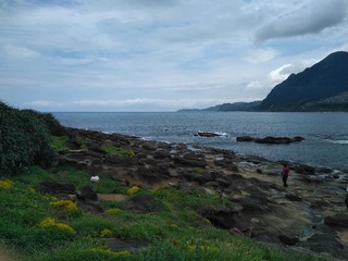 1C7AE0CE-4B10-49D8-B85D-D21A78A3B271/L0/001