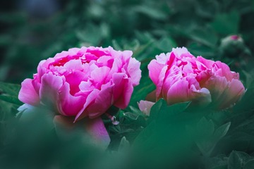 BD30791D-5AAE-418F-813D-8BBD117D28B4/L0/001