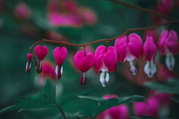 954716D8-C1C8-4FD9-8746-F244AB4CB920/L0/001