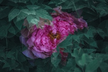 068E6890-1D0D-4EF0-A097-18EE92AE77F4/L0/001