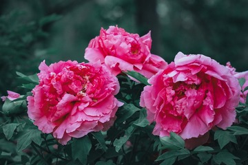 4AE6ABC8-9599-44DB-890D-870247ECEBB7/L0/001