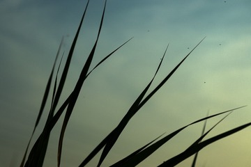 4B416CF8-1416-438B-8667-A204A7C0A22C/L0/001