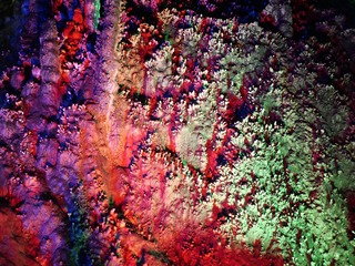 1000008662