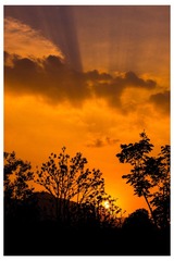 46F0AFED-3726-4A31-A761-5BE2A2940B84/L0/001