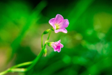 6C860C27-FF7B-47E4-A91A-8C7FD8A3F501/L0/001