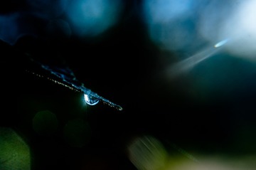 E1681D02-4550-4EC3-B373-93D24EB31A9E/L0/001